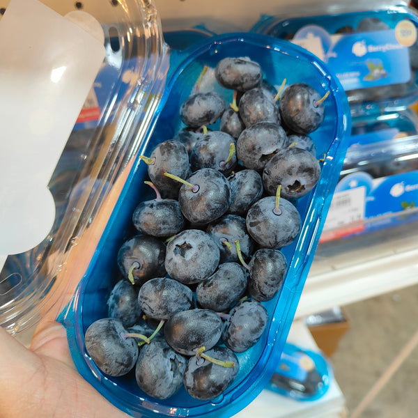 China Blueberry Jumbo [200G/Pack]-Berries-MBG Fruit Shop