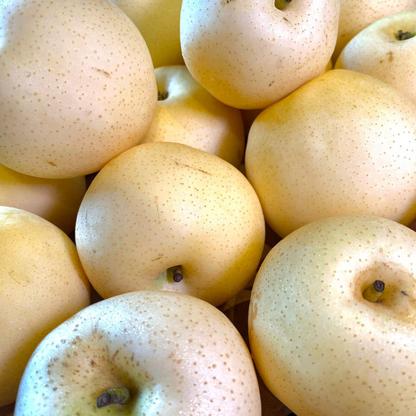 China Century Pear (M) [4 Pcs]-Apples Pears-MBG Fruit Shop