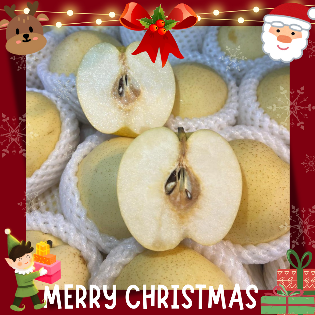 China Century Pear (M) [4 Pcs]-Apples Pears-MBG Fruit Shop