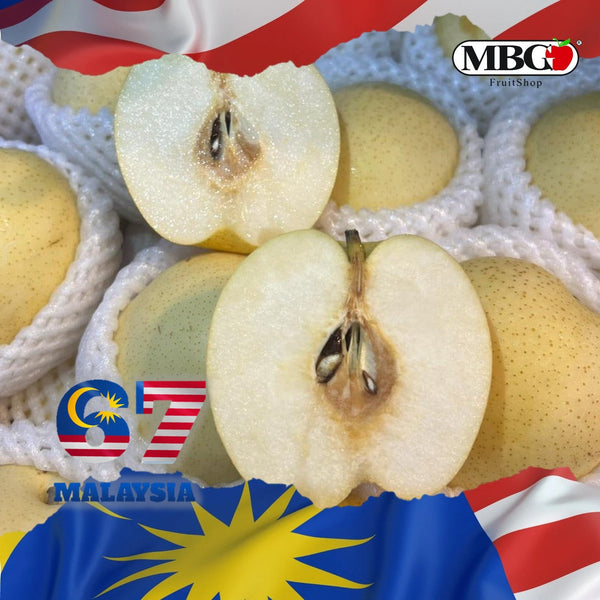 China Century Pear (M) [4Pcs]-Apples Pears-MBG Fruit Shop