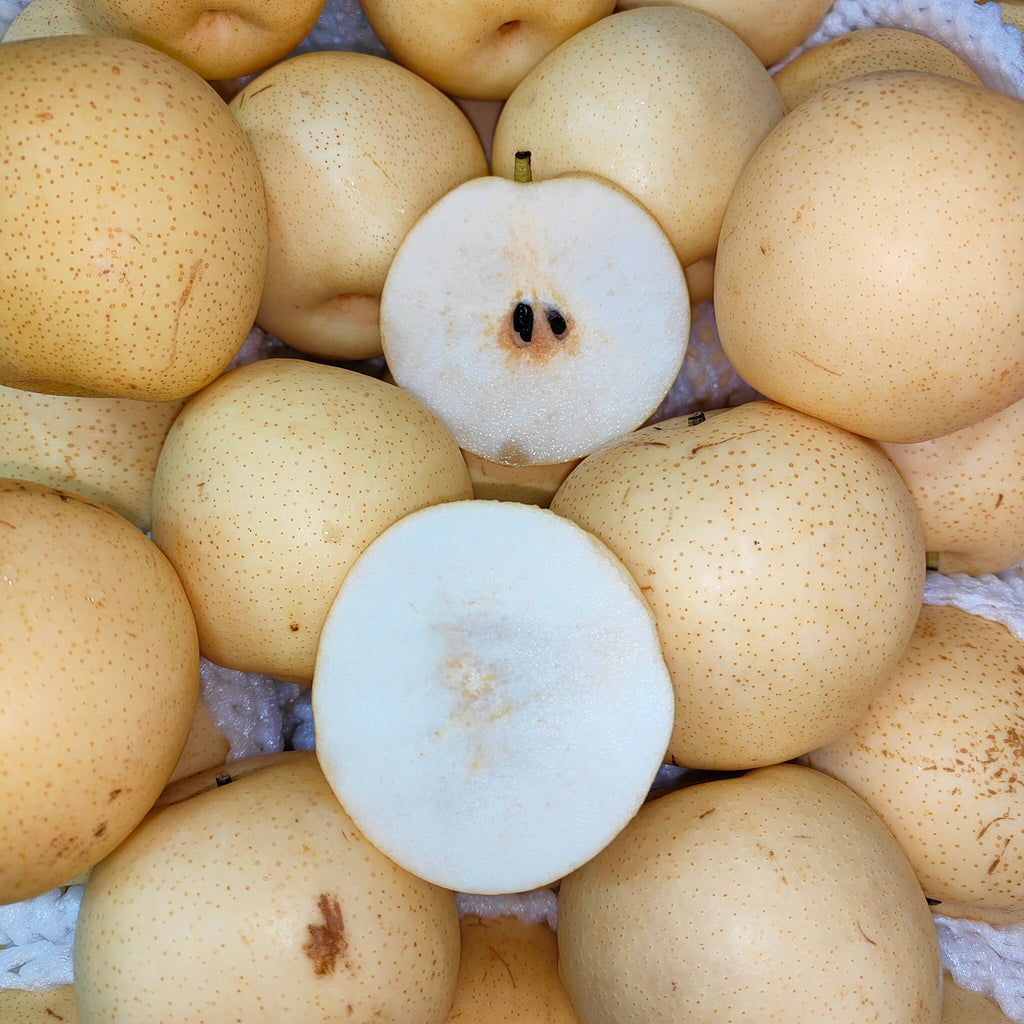 China Century Pear (M) [5 Pcs]-Apples Pears-MBG Fruit Shop