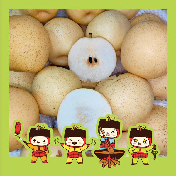 China Century Pear (M) [5 Pcs]-Apples Pears-MBG Fruit Shop