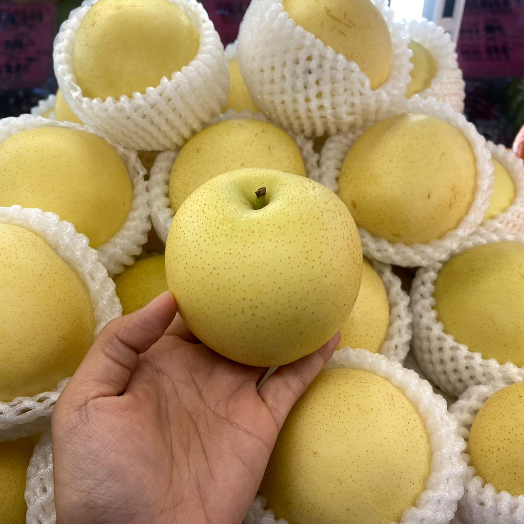China Century Pear (M)-Apples Pears-MBG Fruit Shop