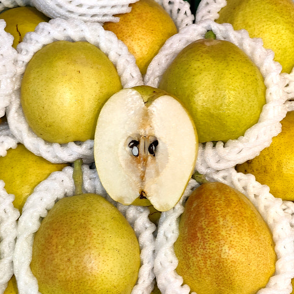 China Fragrant Pear [5 Pcs]-Apples Pears-MBG Fruit Shop
