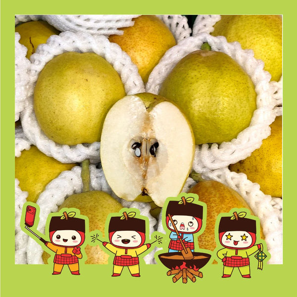 China Fragrant Pear [5 Pcs]-Apples Pears-MBG Fruit Shop