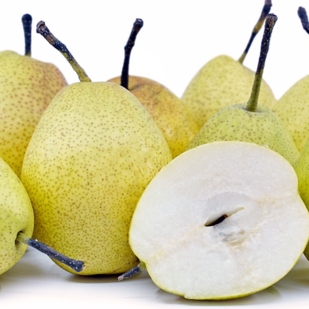 China Fragrant Pear (M) [4 Pcs]-Apples Pears-MBG Fruit Shop