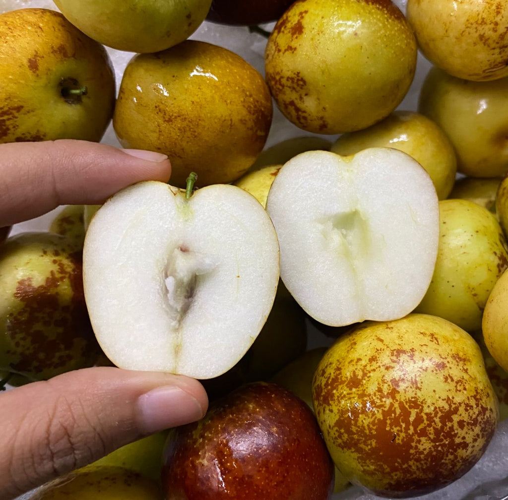 China Fresh Jujube [300G/Pack]-Exotic Fruits-MBG Fruit Shop