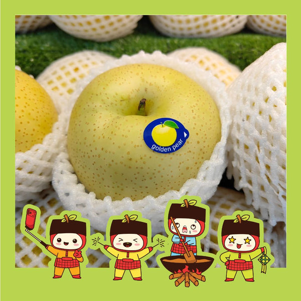 China Golden Pear (L)-Apples Pears-MBG Fruit Shop