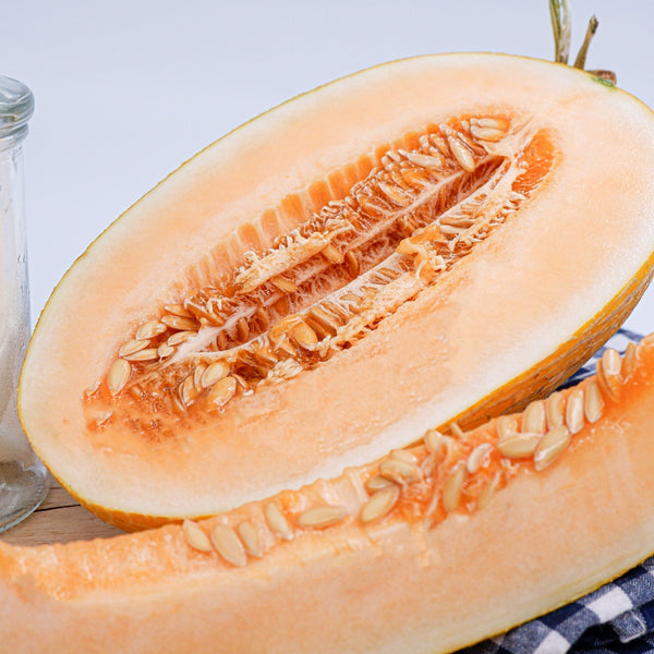 China Hami Melon [1 Pc] (+/- 1.8Kg)-Exotic Fruits-MBG Fruit Shop