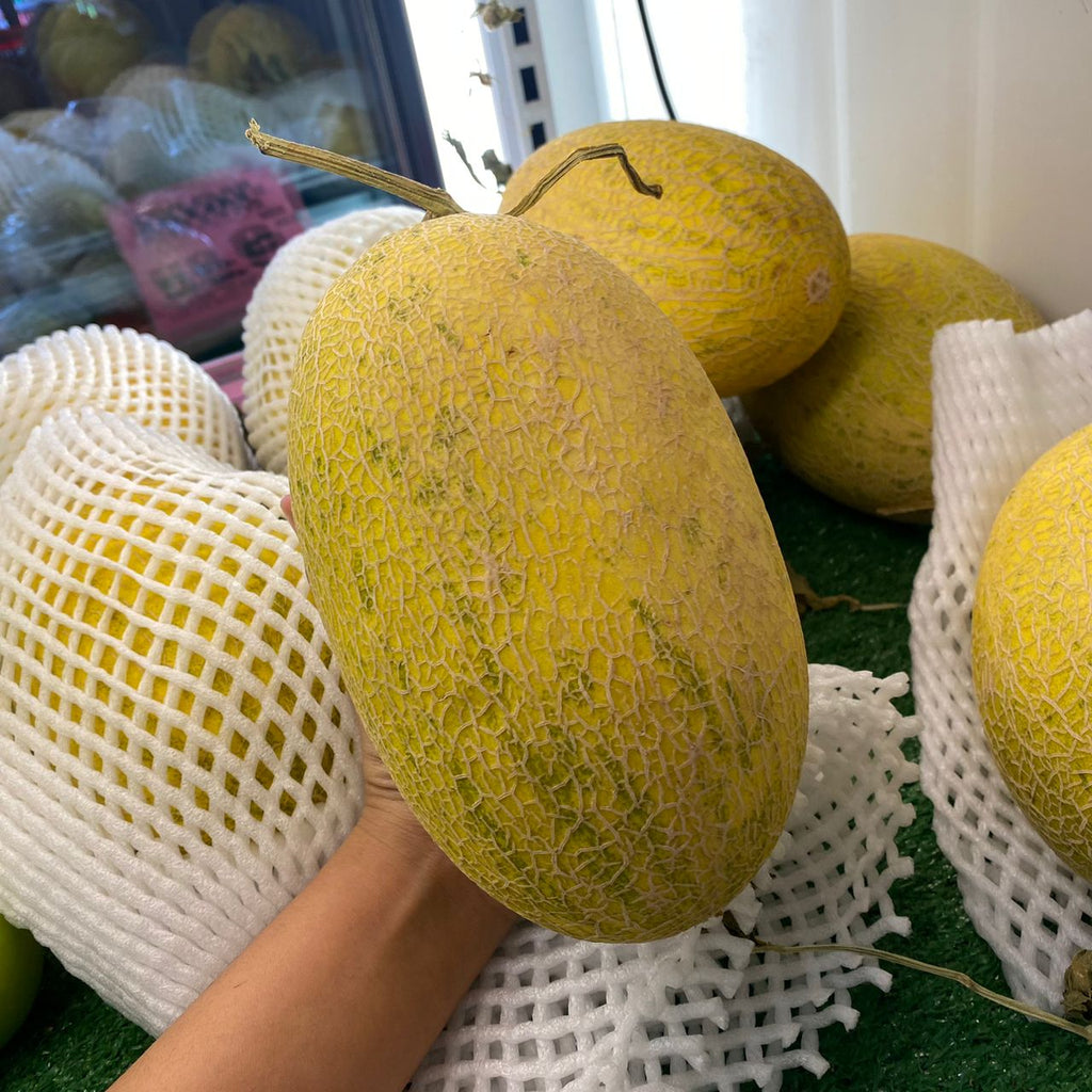 China Hami Melon [+/-1.5kg]-Exotic Fruits-MBG Fruit Shop