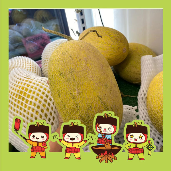 China Hami Melon [+/-1.9kg/pcs]-Exotic Fruits-MBG Fruit Shop