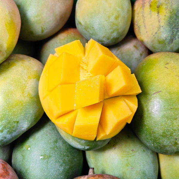 Thailand Kent Mango [+/-1.2Kg]-MBG Fruit Shop