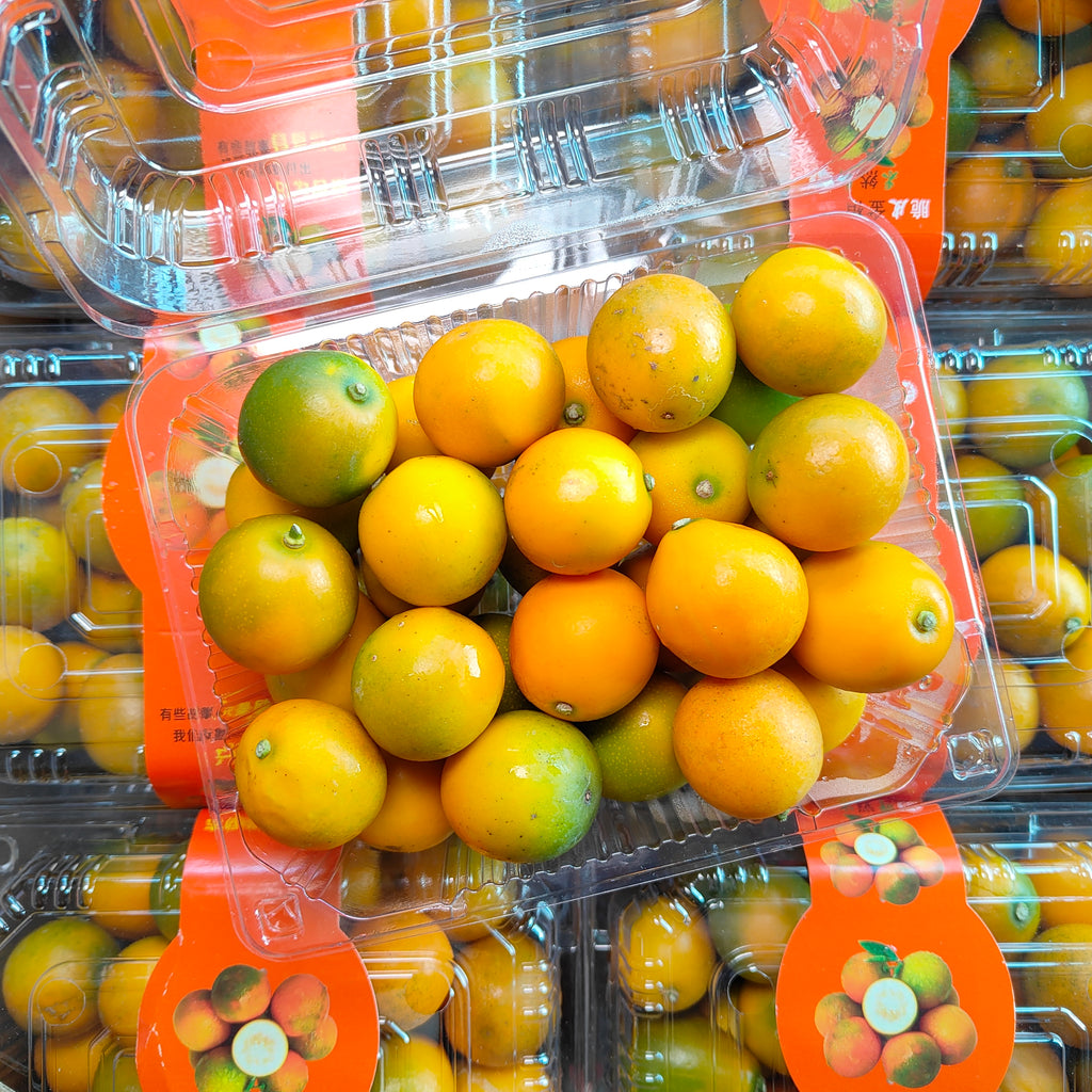 China Kumquat [12 Packs]-MBG Fruit Shop