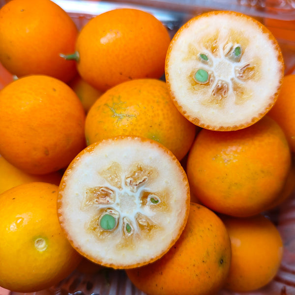 China Kumquat [300G/Pack]-MBG Fruit Shop