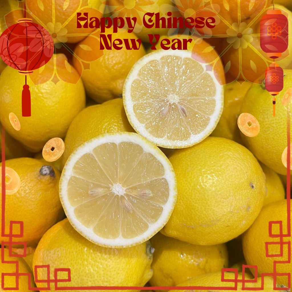 China Lemon (S) [6 Pcs]