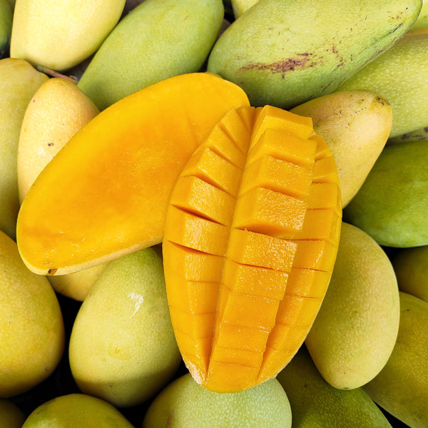 China Mango Gold (XL) [3pcs]-Exotic Fruits-MBG Fruit Shop
