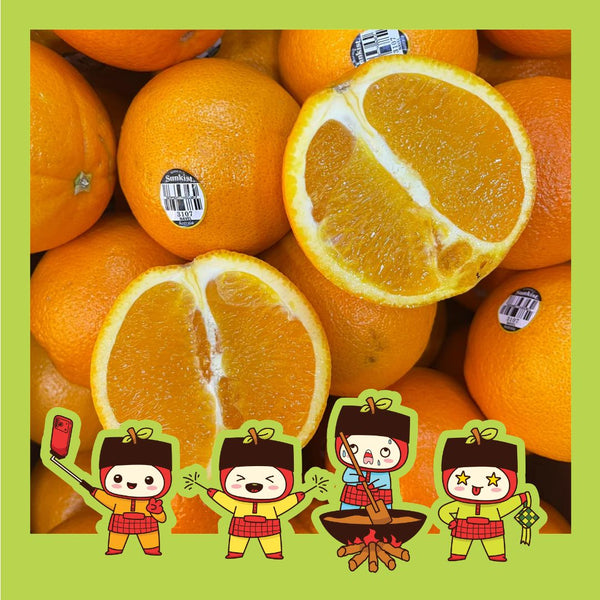 China Navel Orange Banfield (M) [5 Pcs]-Citrus-MBG Fruit Shop