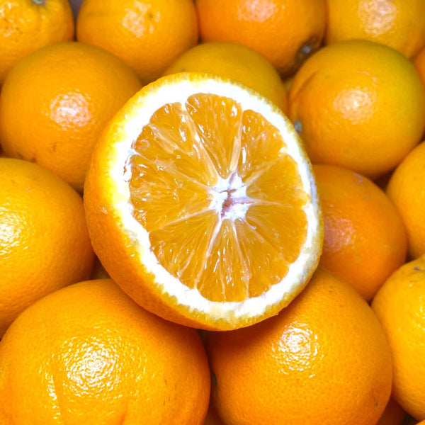 China Orange Navel (M) [5 Pcs]-Citrus-MBG Fruit Shop