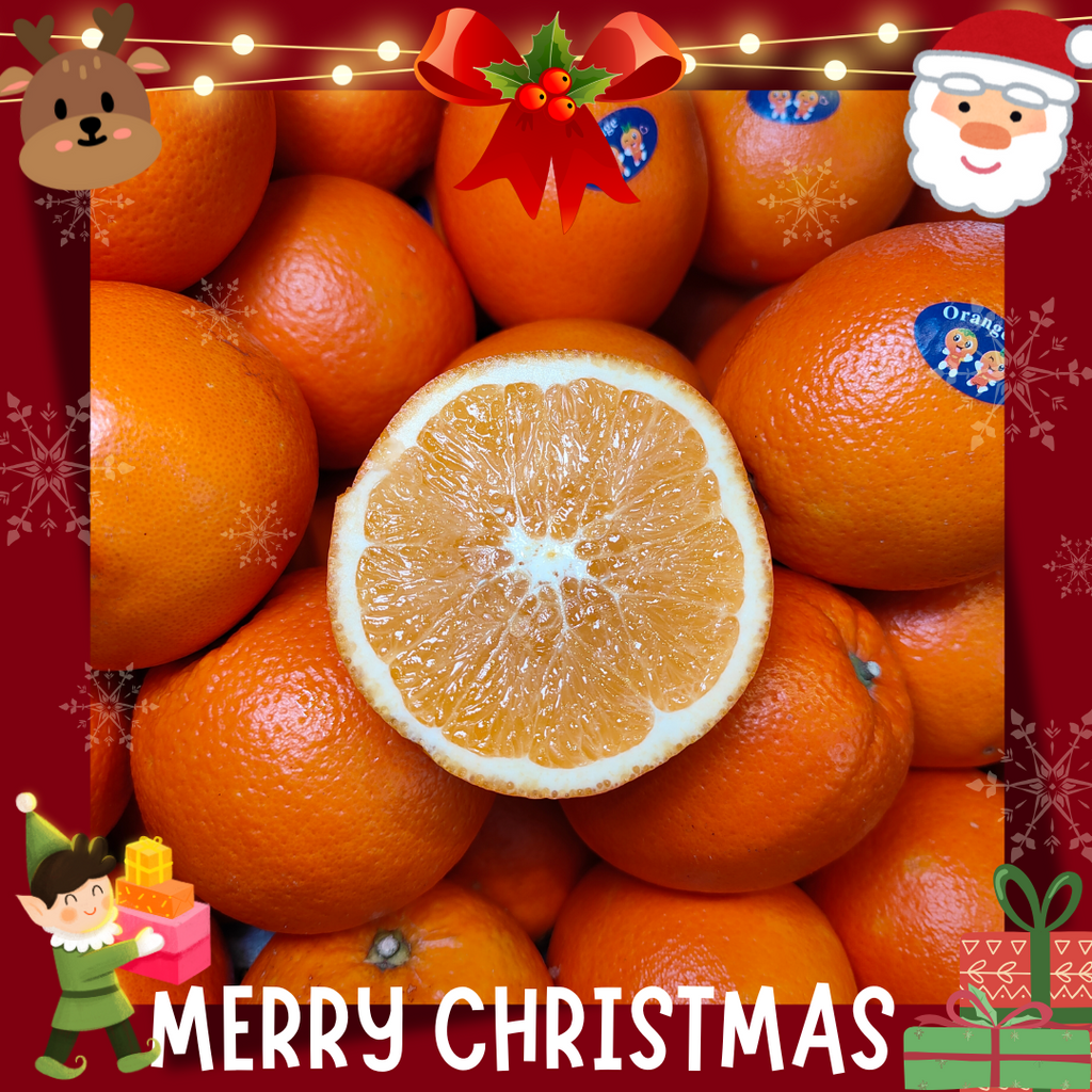 China Orange Navel (M) [4 Pcs]-Citrus-MBG Fruit Shop