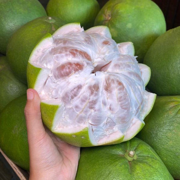 China Pamelo [1 Pc]-Citrus-MBG Fruit Shop