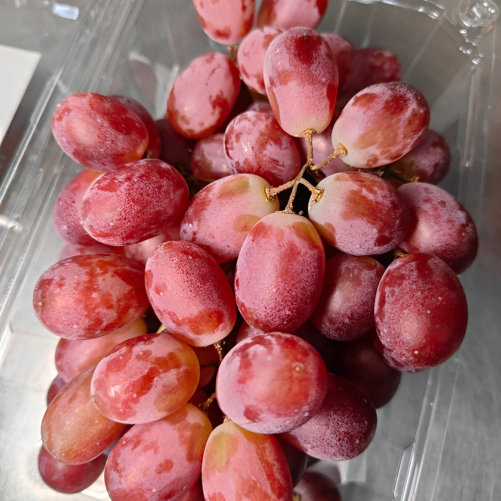 China Pinkish Red Seedless Grape [500g/Pack]-MBG Fruit Shop