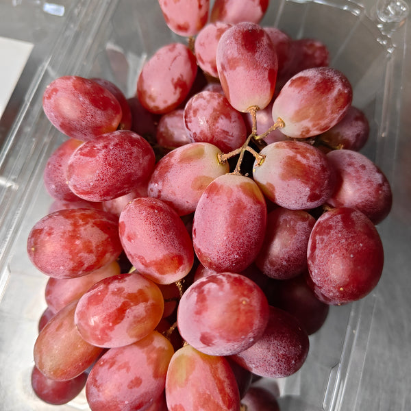 China Pinkish Red Seedless Grape [500g/Pack]-MBG Fruit Shop