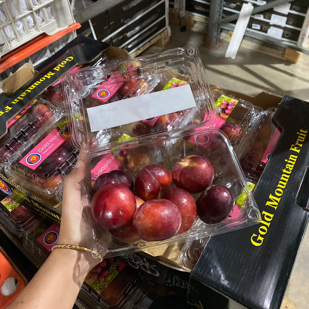 China Plum (M)-Stone Fruits-MBG Fruit Shop