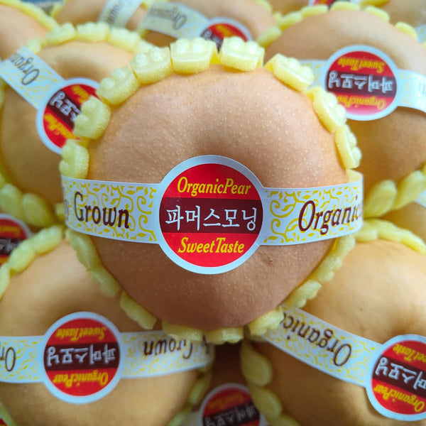 China Premium Singo Pear (XL)-Apples Pears-MBG Fruit Shop