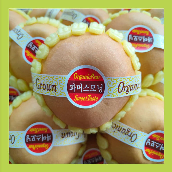 China Premium Singo Pear (XL)-Apples Pears-MBG Fruit Shop