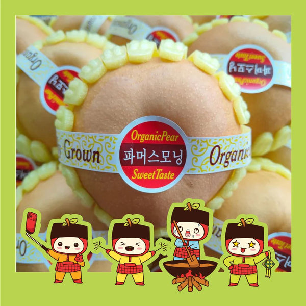 China Premium Singo Pear (XL)-Apples Pears-MBG Fruit Shop