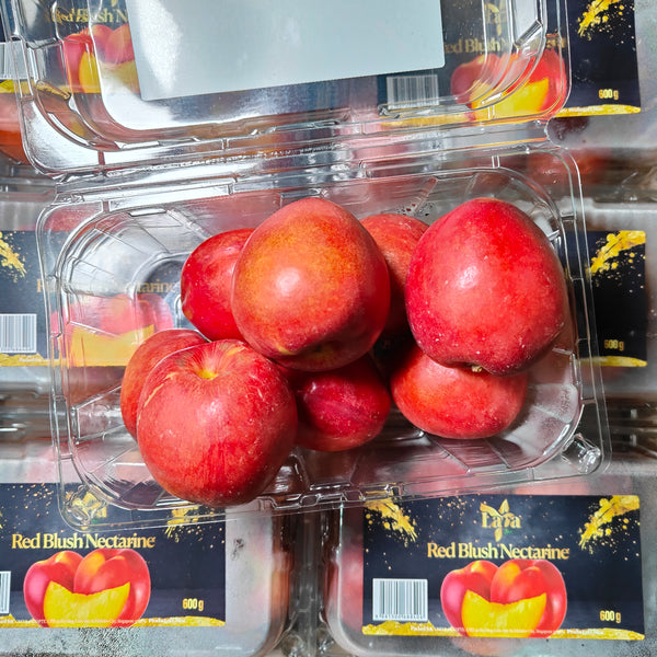 China Red Donut Nectarine [500G/Pack]-Stone Fruits-MBG Fruit Shop