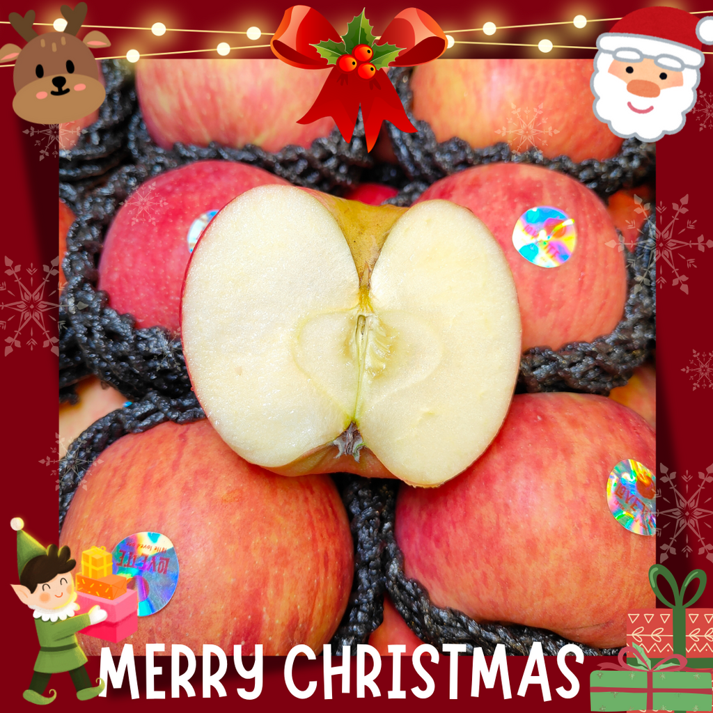 China Red Fuji Apple (L) [4 pcs]-Apples Pears-MBG Fruit Shop