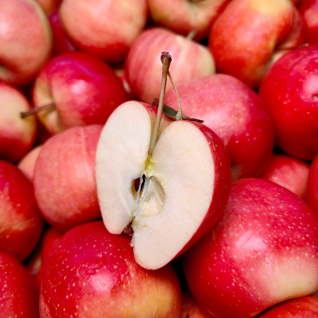 China Red Fuji Apple (M) [8 pcs]-Apples Pears-MBG Fruit Shop