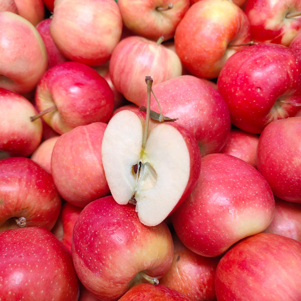 China Red Fuji Apple (S) [8 pcs]-Apples Pears-MBG Fruit Shop