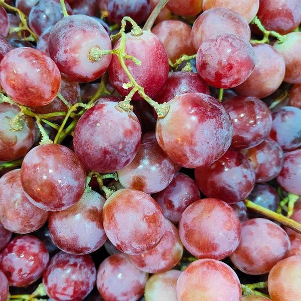 China Red Globe Grapes [500G/Pack]-Grapes-MBG Fruit Shop