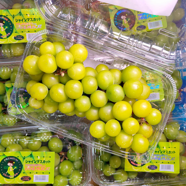 China Shine Muscat Grape (Premium) [500G/Pack]-Grapes-MBG Fruit Shop