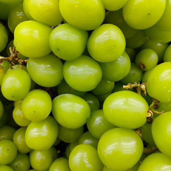 China Shine Muscat Grape [+/-1.0Kg]-Grapes-MBG Fruit Shop