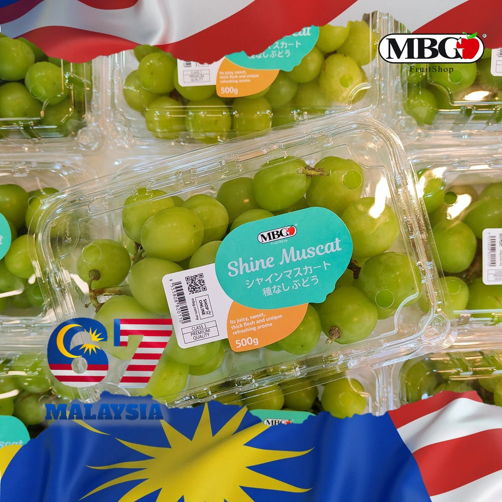 China Shine Muscat Grape [500G/Pack]-Grapes-MBG Fruit Shop