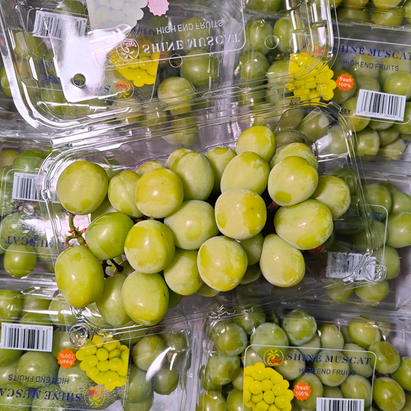 China Shine Muscat Grape [500G/Pack]-Grapes-MBG Fruit Shop