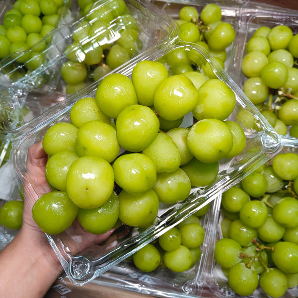 China Shine Muscat Grape [500g/Pack]-Grapes-MBG Fruit Shop