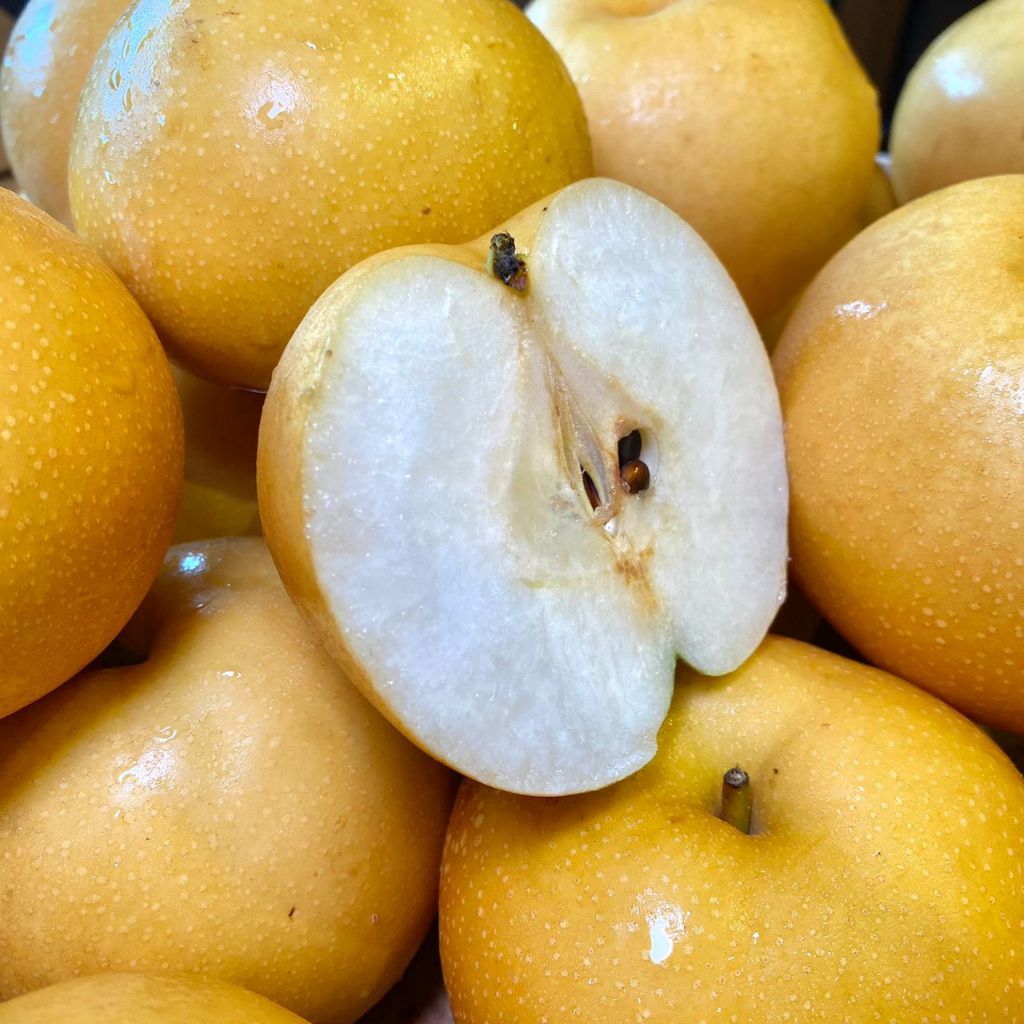 China Singo Pear (M) [4 Pcs]-Apples Pears-MBG Fruit Shop
