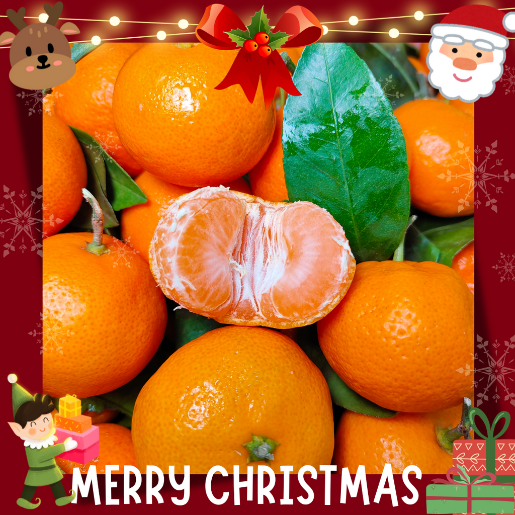 China Sweet Baby Mandarin (M) [1KG/Pack]