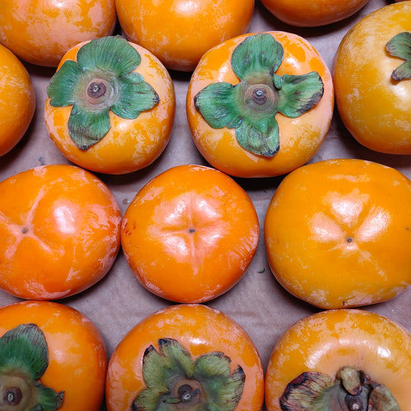 China Sweet Persimmon (M) [1 Pcs]-Citrus-MBG Fruit Shop