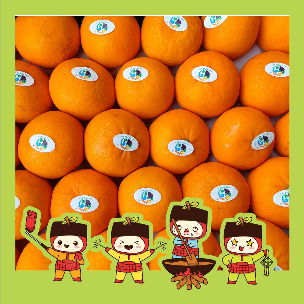 China Wogan Mandarin-Citrus-MBG Fruit Shop
