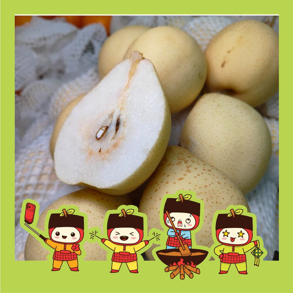 China Ya Pear (M) [5 Pcs]-Apples Pears-MBG Fruit Shop