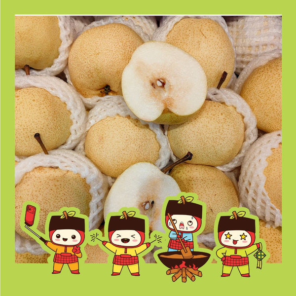 China Gong Pear (M) [5 Pcs]-Apples Pears-MBG Fruit Shop