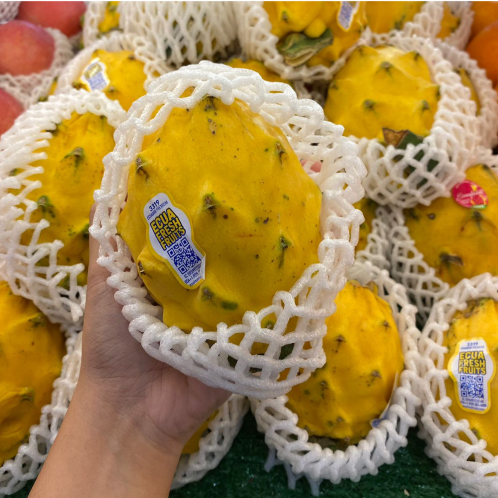 Ecuador Pitahaya Yellow Dragon Fruit [1 Pcs]-Exotic Fruits-MBG Fruit Shop