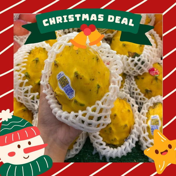 Ecuador Pitahaya Yellow Dragon Fruit (S) [1 Pcs]-Exotic Fruits-MBG Fruit Shop