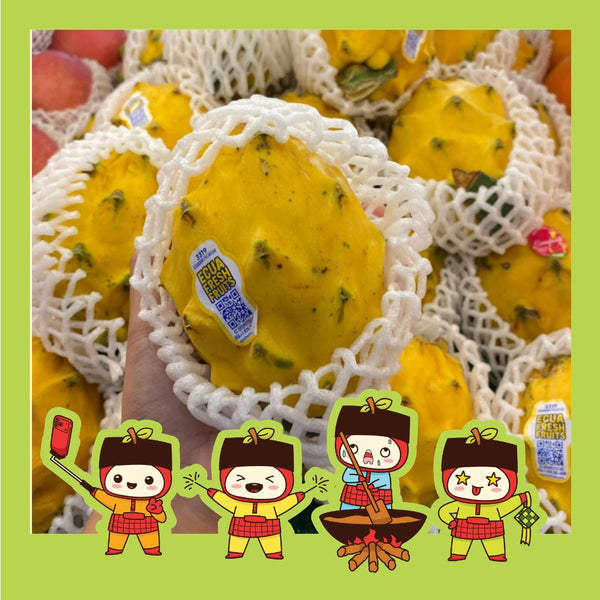 Ecuador Pitahaya Yellow Dragon Fruit (S) [1 Pcs]-Exotic Fruits-MBG Fruit Shop