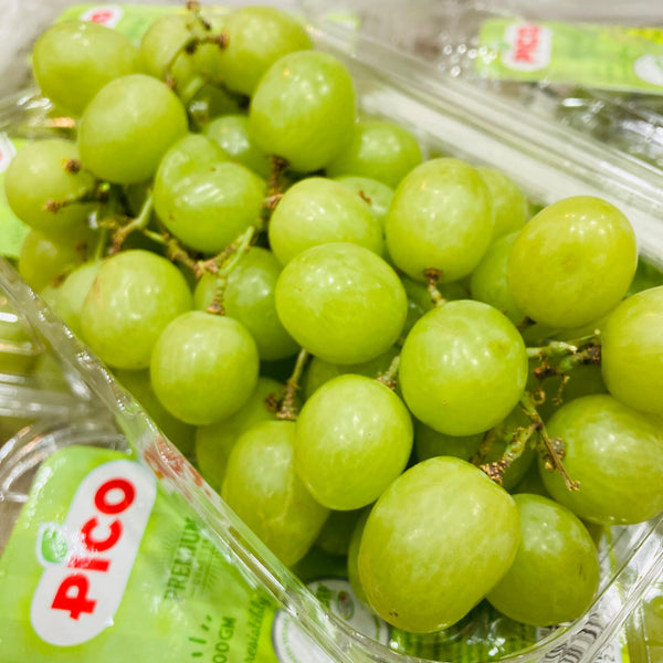 Egypt Autumn Crisp Seedless Green Grape [500G/Pack] -pico-Grapes-MBG Fruit Shop